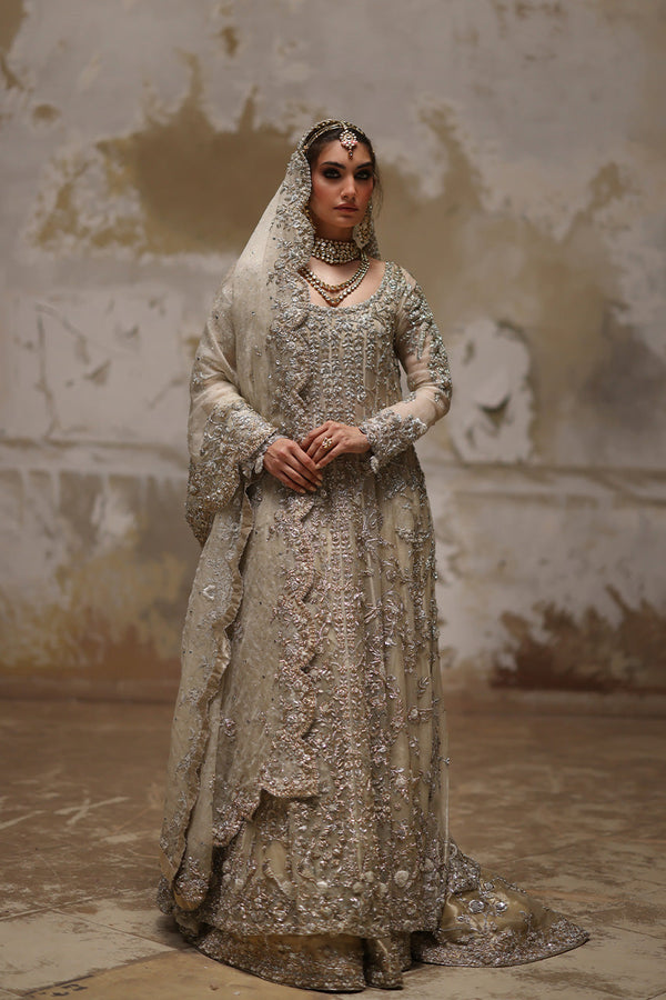 silver nikkah dress Ice Blue Bridal Dress, Pakistani Indian Wedding Dresses, Latest Bridal Party Dress, Ebroidery, Stitched Gown Mehndi Nikkah Maxi Suit Outfit