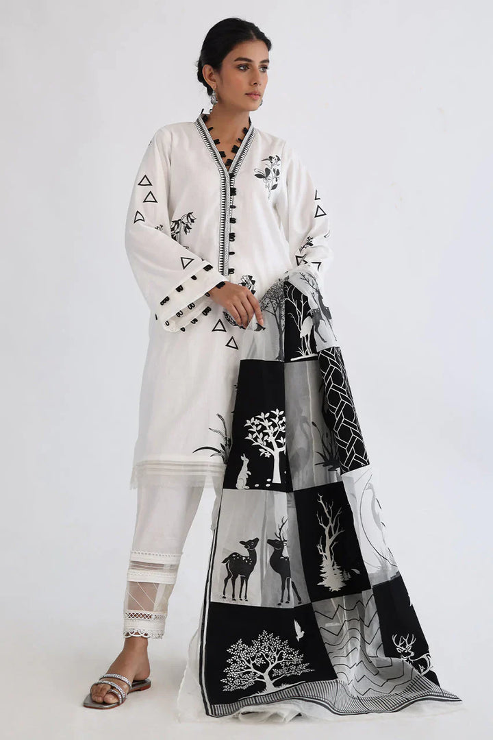 Shirt-Cotton