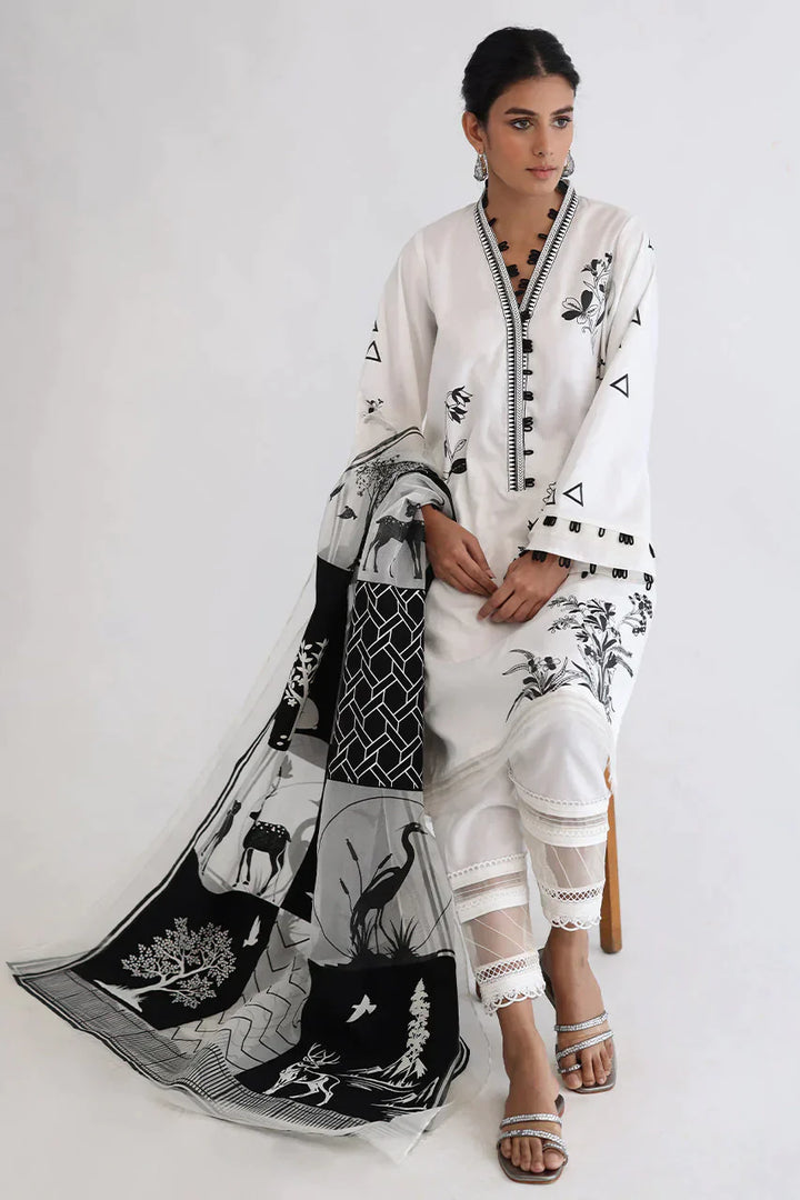 Shirt-Cotton