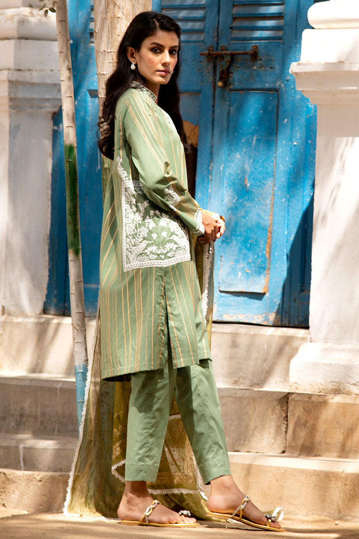 Green-Shirt