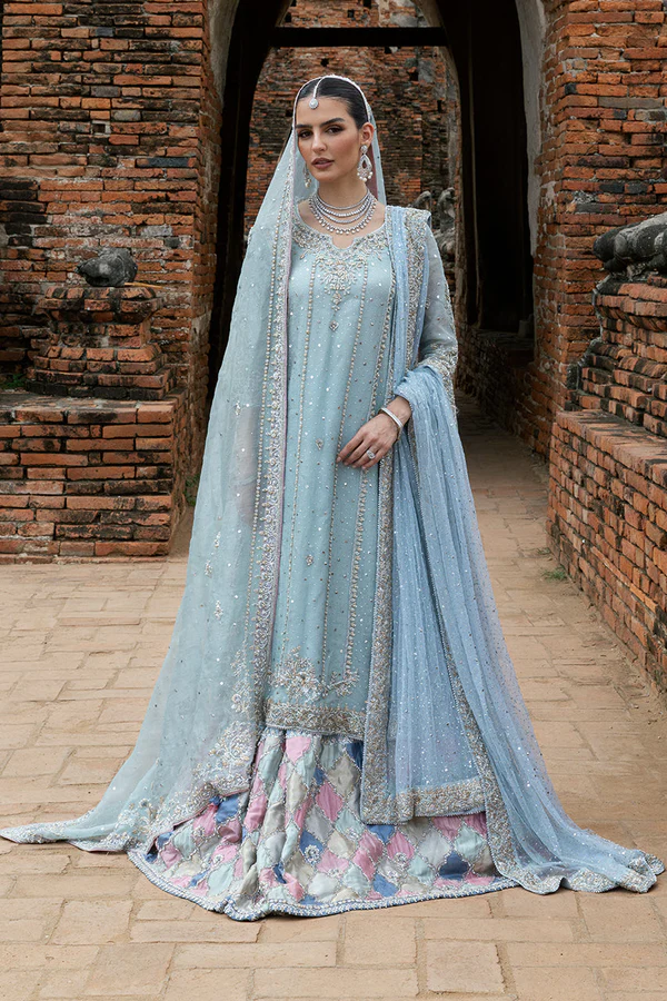 Anika - Customised dupatta (6 yards) Customized Link